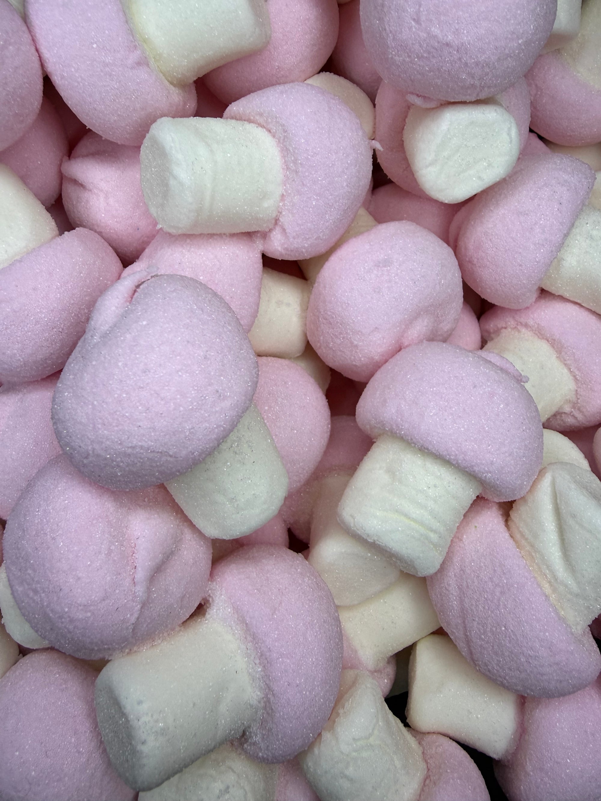Jumbo Foam Mushrooms (Sweden)